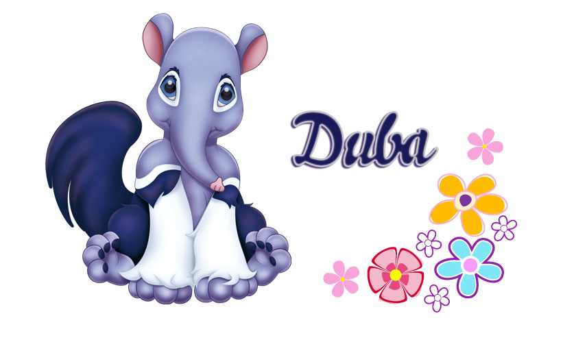 Duba